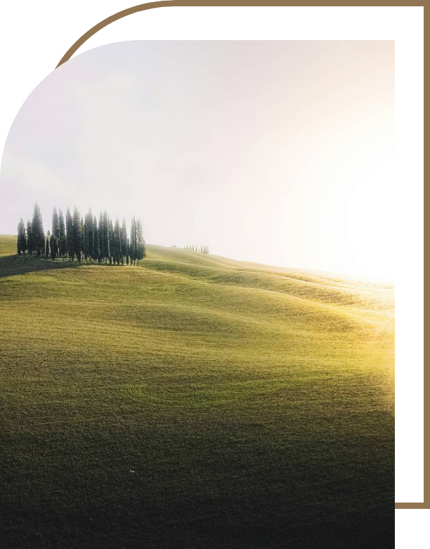 Trees on a hill during a sunrise setting. This represents the peaceful community of River Crossing located in Boerne, TX